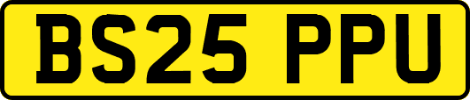 BS25PPU