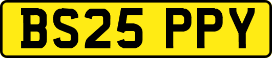 BS25PPY