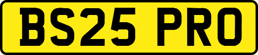 BS25PRO