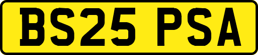 BS25PSA