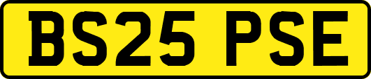BS25PSE