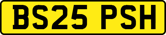 BS25PSH