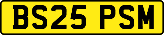 BS25PSM
