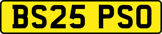 BS25PSO