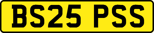 BS25PSS