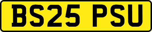 BS25PSU