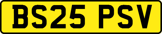 BS25PSV