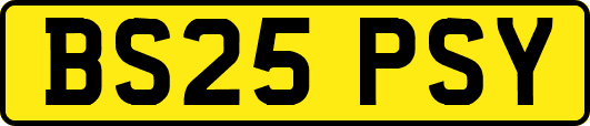 BS25PSY