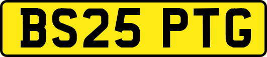 BS25PTG