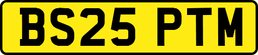 BS25PTM