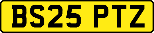 BS25PTZ