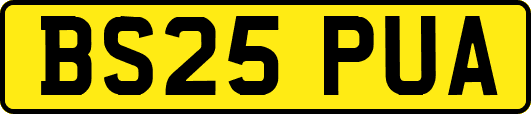 BS25PUA