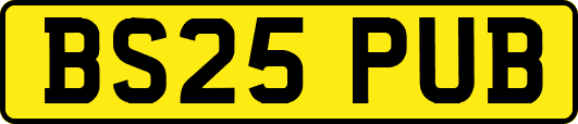 BS25PUB