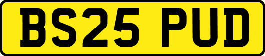 BS25PUD