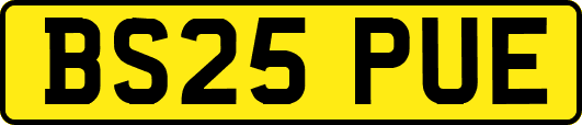 BS25PUE
