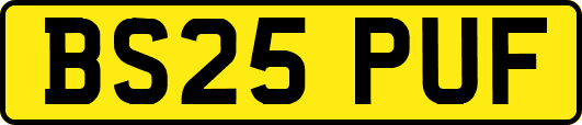 BS25PUF