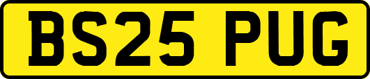 BS25PUG