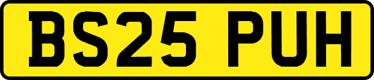 BS25PUH