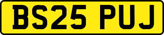 BS25PUJ