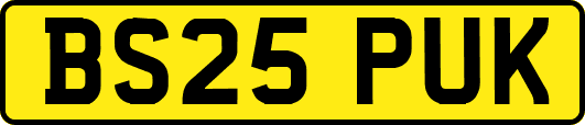 BS25PUK
