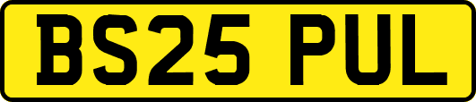 BS25PUL