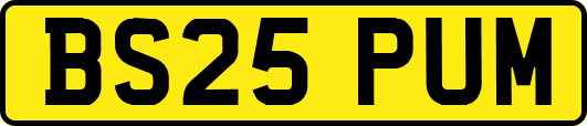 BS25PUM