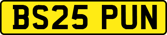 BS25PUN