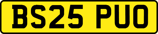 BS25PUO