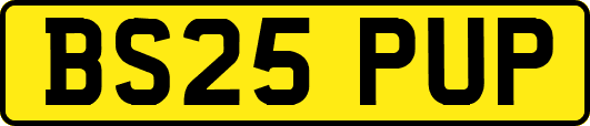 BS25PUP