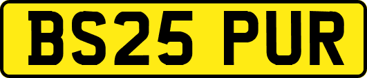 BS25PUR