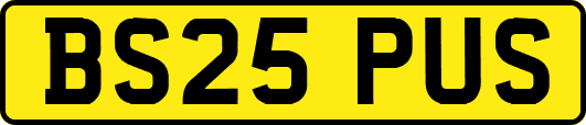 BS25PUS