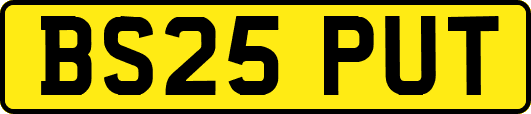 BS25PUT