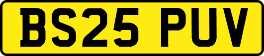BS25PUV