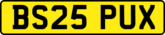 BS25PUX