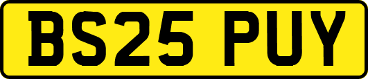 BS25PUY