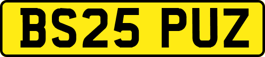 BS25PUZ