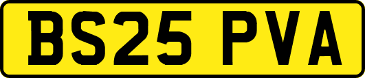 BS25PVA