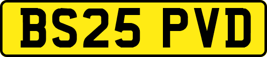 BS25PVD