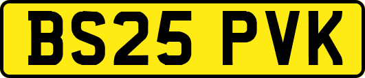 BS25PVK