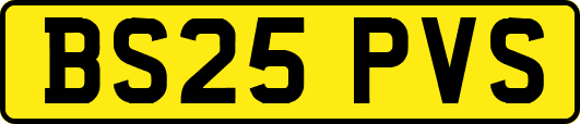 BS25PVS
