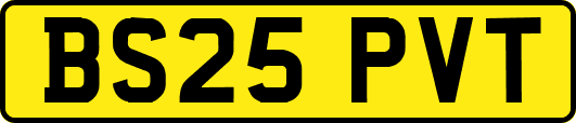 BS25PVT