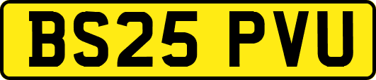 BS25PVU