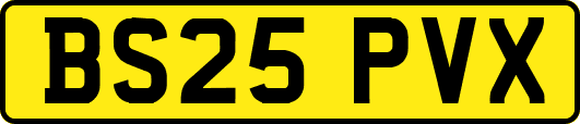 BS25PVX