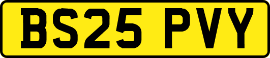 BS25PVY