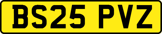 BS25PVZ