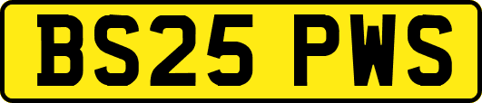 BS25PWS