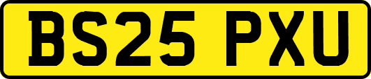 BS25PXU