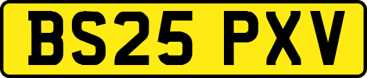 BS25PXV