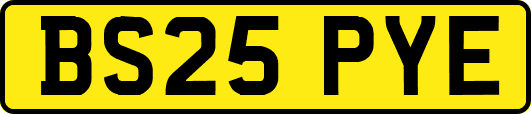 BS25PYE