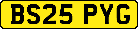 BS25PYG